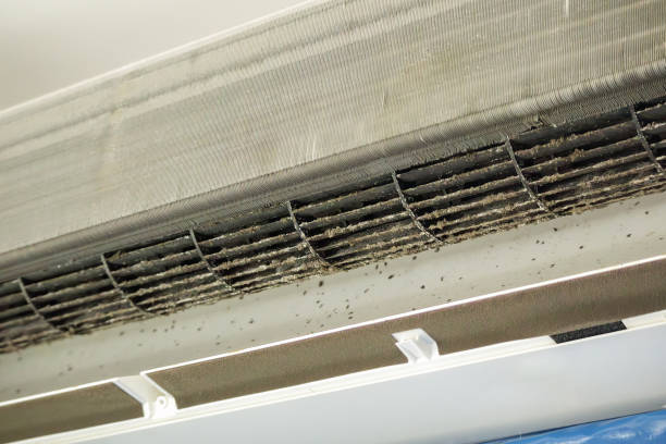 Best Home Air Vent Cleaning  in Englewood Cliffs, NJ